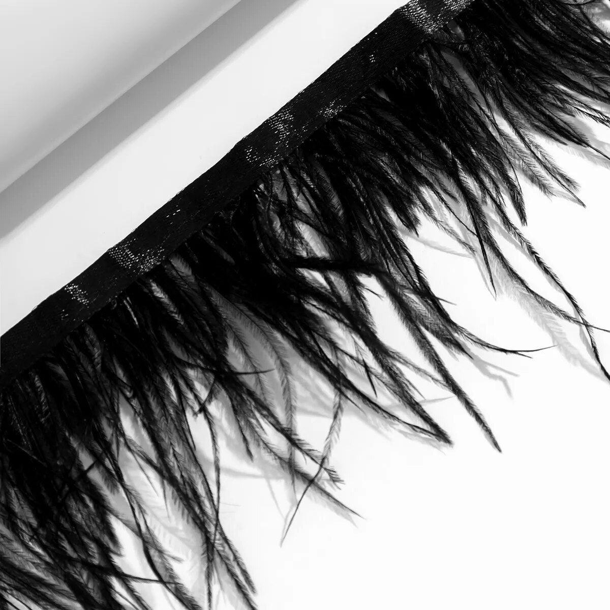 Gothic Black Feather Choker Choker - The Burner Shop