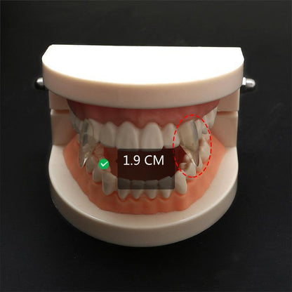 Vampire Halloween Fangs Costumes - The Burner Shop